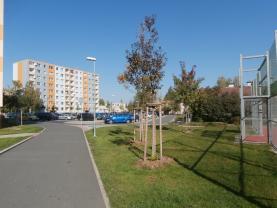 Prodej, byt 3+1, 74 m2, Mohelnice