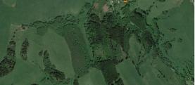 Prodej, les, Bernartice