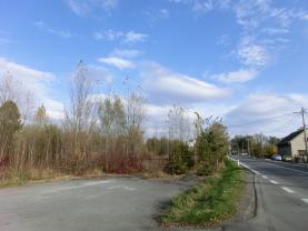 Prodej, stavební pozemek, 8600 m2, Frýdek - Místek