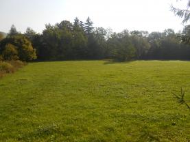 Prodej, pozemek, 2780 m2, Horní Libchavy