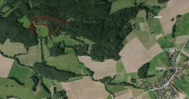 Prodej, les, 32 492 m2, Hrádek u Sušice - Zbynice