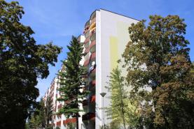 Pronájem, byt 2+1, 56 m2, Brno, ul. Šrámkova