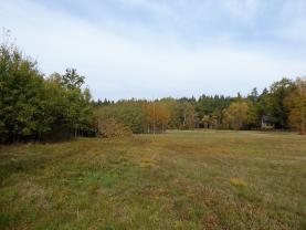 Prodej, pozemek, 5750 m2, Nová Role - Mezirolí