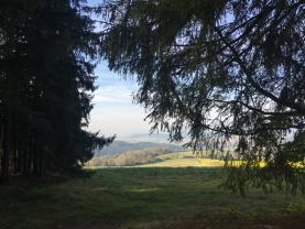 Prodej, les, 21256 m2 , Těšetiny