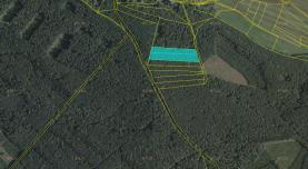 Prodej, les, 9243 m2, Ledce