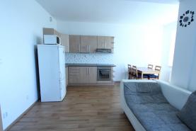 Prodej, byt 2+kk, 58 m2, Plzeň, ul. Goldscheiderova