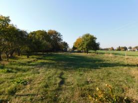Prodej, stavební parcela, 1.182 m2, Velké Všelisy