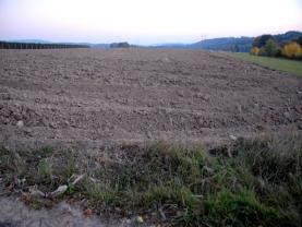 Prodej, ovocný sad, Rovensko pod Troskami