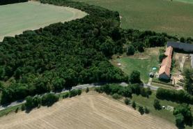 Prodej, ovocný sad, zahrada, 8000 m2, Libáň - Psinice