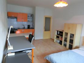 Prodej, byt 1+kk, 31 m2, Moravská Ostrava, ul. U Parku