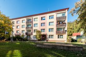 Prodej, Byt 1+1, 40 m2, OV, Chlumec, ul. Krušnohorská