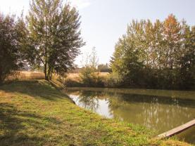 Prodej, pozemek rybník, 6874 m2, Ruda, okr. Rakovník