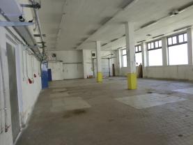 Pronájem, komerční prostory, 740 m2, Česká Třebová