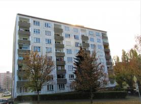Prodej, byt 1+1, 43 m2, Sokolov, ul. Závodu míru
