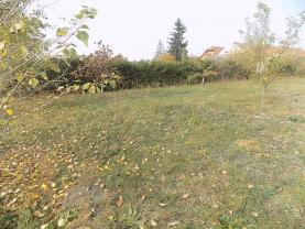 Prodej, pozemek, 1002 m2, Písková Lhota u Poděbrad