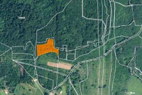 Prodej, louka, 5352 m2, Ústí nad Labem-Dělouš