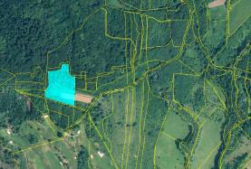 Prodej, orná půda, 15402 m2, Ústí nad Labem-Dělouš
