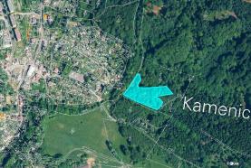 Prodej, les, 6784 m2, Kamenický Šenov