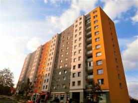 Pronájem, byt 1+kk, 33 m2, Plzeň, ul. Brněnská