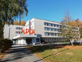 Pronájem, obchod a služby, Hronov, ul. Na Chocholouši