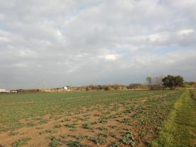 Prodej, pozemek, Hradec Králové - Plačice