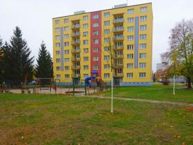 Prodej, byt 3+1, 66 m2, OV, Dobřany, Husova ulice