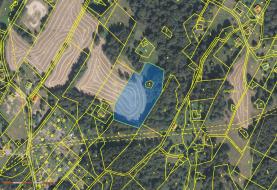 Prodej, pozemek, 7890 m2, Desná - Desná I