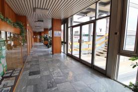Pronájem, kanceláře, 340 m2, Brno - Žabovřesky