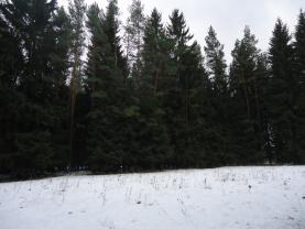 Prodej, pozemek, 4316 m2, Kameničky