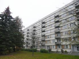 Pronájem, byt 1+1, Písek, ul. nábřeží 1. máje
