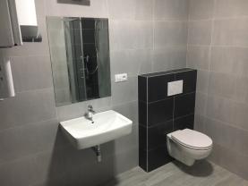 Prodej, 2+kk, 79,6 m2, terasa 22,3 m2, OV, Svojetice