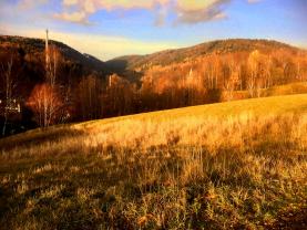 Prodej, stavební pozemek, 2377 m2, Desná
