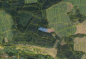 Prodej, les, 4648 m2, Leskovec