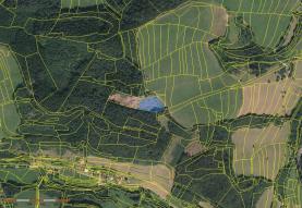 Prodej, les, 4044 m2, Leskovec