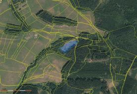 Prodej, les, 7371 m2, Neubuz