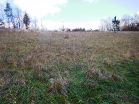 Prodej, pozemek, 15951 m2, Chlébské - Skorotice