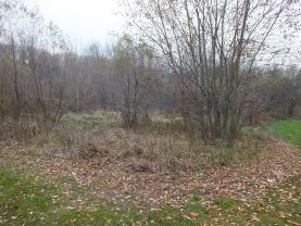 Prodej, louka, 1001m2, Mikulovice