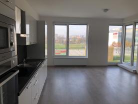 Pronájem, byt 2+kk, 58 m2, Moravská Ostrava, ul. Jantarová