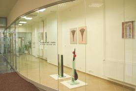 Pronájem, obchodní prostory, 32 m2, Opava - Město