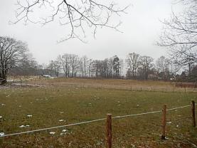 Prodej, louka, 1965 m2, Arnoltice, okr.Děčín