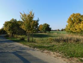 Prodej, stavební parcela, 1.182 m2, Velké Všelisy