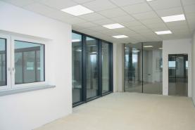 Pronájem, kancelářské prostory, 34 m2, Opava - Předměstí