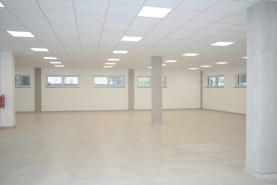 Pronájem, komerční prostory, 349 m2, Opava - Předměstí
