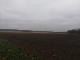 Prodej, pole, 24.051 m2, Přistoupim