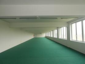 Pronájem, obchodní prostory, 600 m2, Týniště nad Orlicí