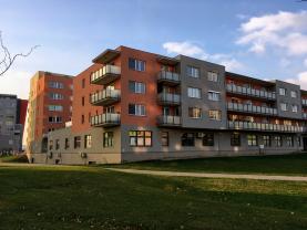 Pronájem, kancelář, 34 m2, Olomouc, ul. Družební