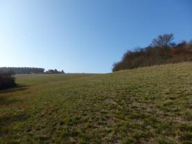 Prodej, orná půda 41966 m2, Beroun - Zdejcina