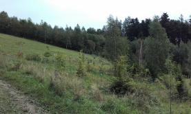 Prodej, pozemek, 28550 m2, Partutovice