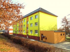 Prodej, byt 1+1, 42 m2, Habartov, ul. Raisova