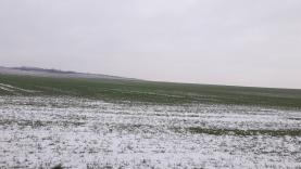 Prodej, orná půda, 8452 m2, Zlatníky u Prahy
